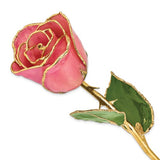 Gold Trimmed Real Rose