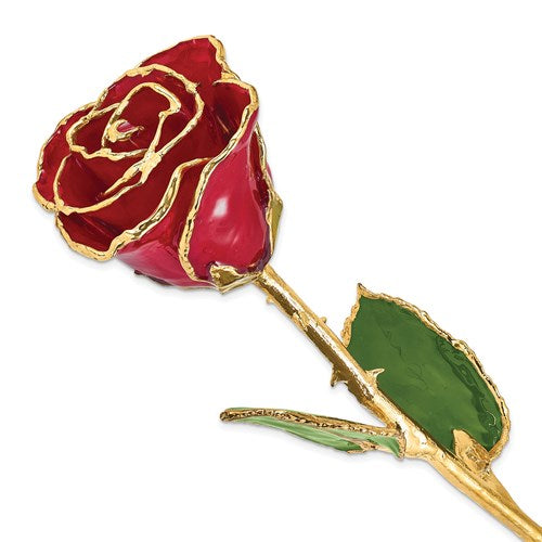 24k Gold Trimmed Rose